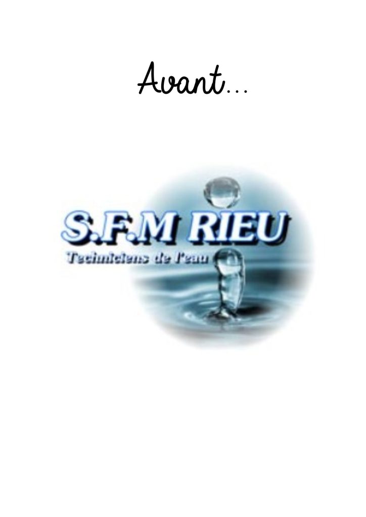 SFM RIEU ancien logo